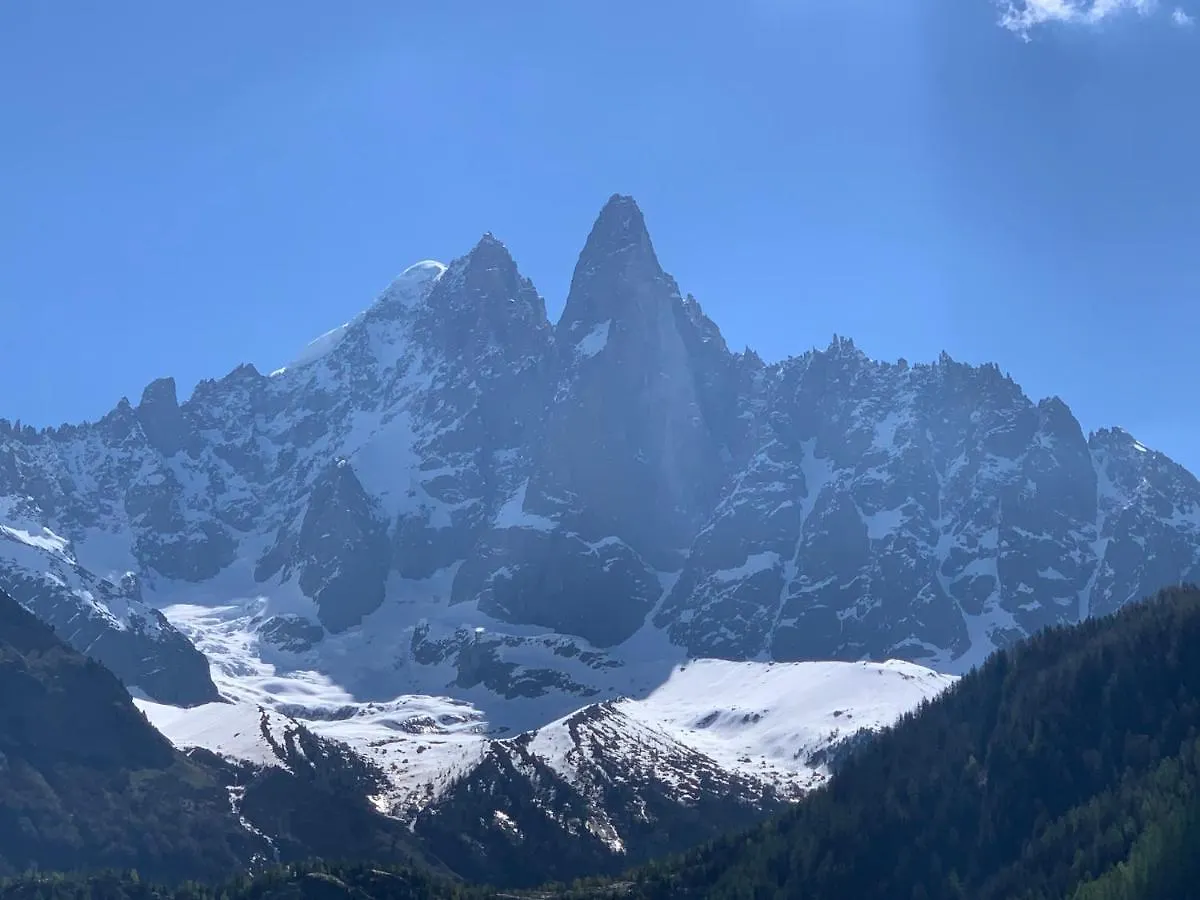 Hotel Le Labrador Chamonix Frankrijk